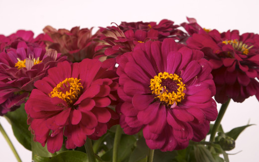 579729 (a): :2560x1600
